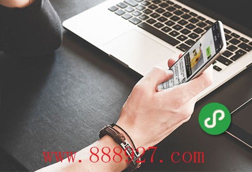 深汕特別合作區(qū)小程序的開發(fā)與深圳網(wǎng)站開發(fā)指南