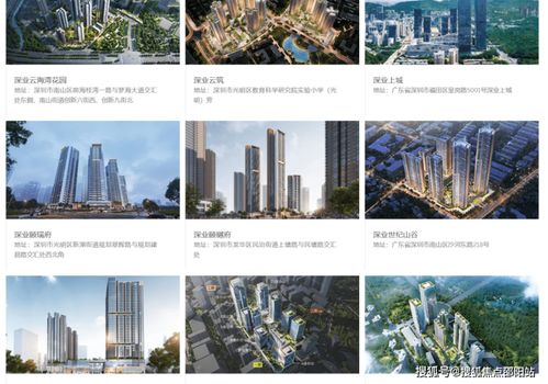 深業(yè)世紀(jì)山谷 南山核心地標(biāo)公寓，揭秘城市人居新典范